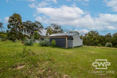 Farm For Sale - NSW - Torrington - 2371 - Ideal Lifestyle Property  (Image 2)