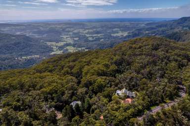 Farm For Sale - NSW - Jamberoo - 2533 - Your Treetop Oasis Awaits  (Image 2)