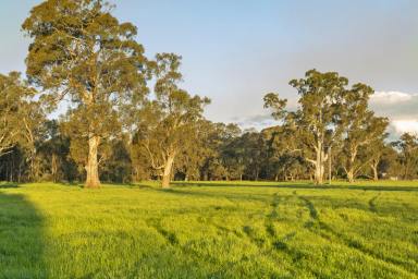 Farm For Sale - VIC - Euroa - 3666 - Approved Plans & Permits Moments From Euroa Township  (Image 2)