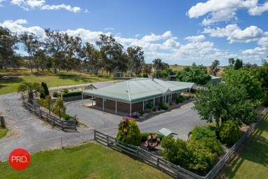 Farm For Sale - NSW - Bywong - 2621 - "Karian Park"  (Image 2)