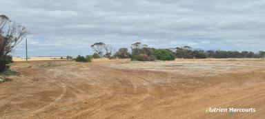 Farm For Sale - WA - Monjebup - 6338 - Versatile Property in Close Proximity to the South Coast!  (Image 2)