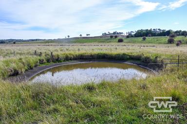 Farm For Sale - NSW - Guyra - 2365 - Your Blank Canvas....  (Image 2)