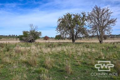 Farm For Sale - NSW - Guyra - 2365 - Your Blank Canvas....  (Image 2)