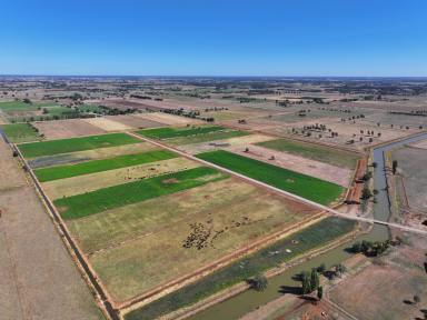 Farm For Sale - VIC - Invergordon - 3636 - Quality Beef/Dairy Operation  (Image 2)