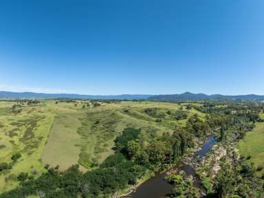 Farm For Sale - NSW - Candelo - 2550 - "HONEYSUCKLE" 400 ACRES  (Image 2)