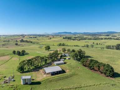 Farm For Sale - NSW - Candelo - 2550 - "HONEYSUCKLE" 400 ACRES  (Image 2)