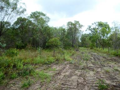 Farm For Sale - QLD - Mount Perry - 4671 - LIFESTYLE BLOCK  (Image 2)
