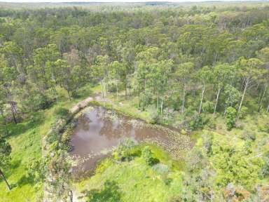 Farm For Sale - QLD - Glenwood - 4570 - Rural Land With Two Large Sheds On 159 Acres  (Image 2)