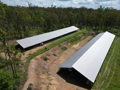 Farm For Sale - QLD - Glenwood - 4570 - Rural Land With Two Large Sheds  (Image 2)