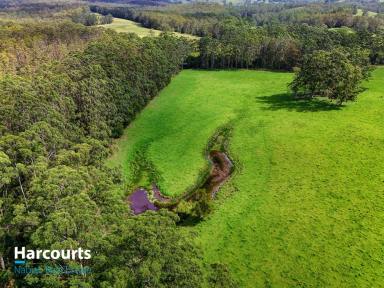 Farm For Sale - NSW - Wootton - 2423 - "Killarney" Top Quality Farming And Grazing Property With 2 Titles  (Image 2)
