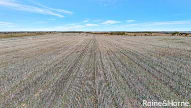 Farm Sold - SA - Langhorne Creek - 5255 - Secure, convenient & comprising balanced arable soils of 485-acres.  (Image 2)