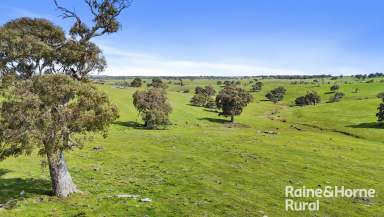 Farm Sold - SA - Gemmells - 5255 - Big, beautiful seclusion on a lifestyler's or graziers 52-hectare escape.  (Image 2)