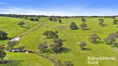 Farm Sold - SA - Gemmells - 5255 - Big, beautiful seclusion on a lifestyler's or graziers 52-hectare escape.  (Image 2)