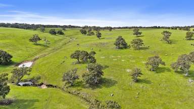 Farm Sold - SA - Gemmells - 5255 - Big, beautiful seclusion on a lifestyler's or graziers 52-hectare escape.  (Image 2)