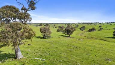 Farm Sold - SA - Gemmells - 5255 - Big, beautiful seclusion on a lifestyler's or graziers 52-hectare escape.  (Image 2)