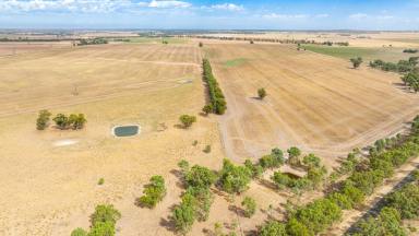 Farm For Sale - NSW - Boomanoomana - 2712 - Cropping or Grazing  (Image 2)