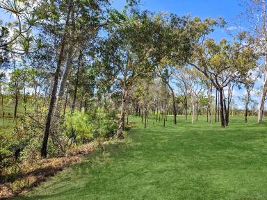Farm For Sale - QLD - Mareeba - 4880 - COUNTRY LIVING AT IT'S FINEST  (Image 2)