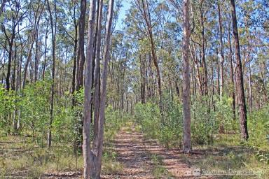 Farm For Sale - QLD - Thanes Creek - 4370 - RUGGED BEAUTY IN AN AFFORDABLE PRICE BRACKET  (Image 2)