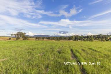 Farm Sold - NSW - Clarence Town - 2321 - Ready to build!  (Image 2)