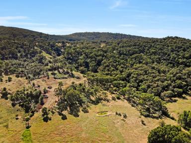 Farm For Sale - NSW - Tumut - 2720 - Rural Land with Goobarragandra River Frontage  (Image 2)