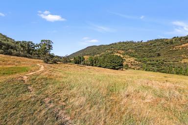 Farm For Sale - NSW - Tumut - 2720 - Rural Land with Goobarragandra River Frontage  (Image 2)