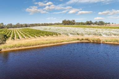 Farm For Sale - VIC - Heathcote - 3523 - FORMER 'WANTED MAN' VINEYARD  (Image 2)