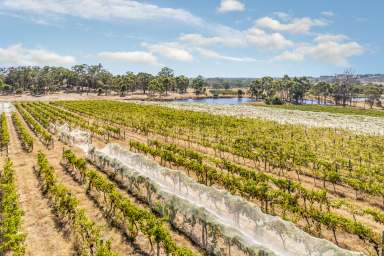 Farm For Sale - VIC - Heathcote - 3523 - FORMER 'WANTED MAN' VINEYARD  (Image 2)