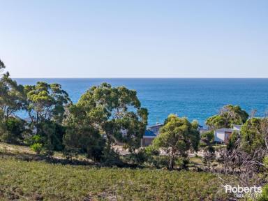Farm For Sale - TAS - Greens Beach - 7270 - Seaside Living Awaits - Your Choice of Dream Land  (Image 2)