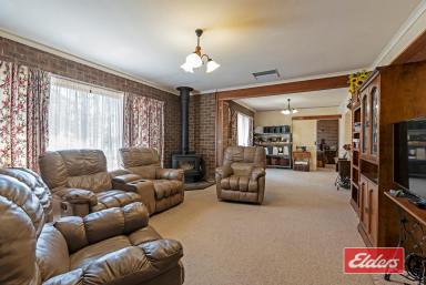 Farm For Sale - SA - Roseworthy - 5371 - ACREAGE WITH HOME ON GAWLERS DOORSTEP  (Image 2)