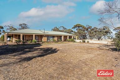Farm For Sale - SA - Roseworthy - 5371 - ACREAGE WITH HOME ON GAWLERS DOORSTEP  (Image 2)