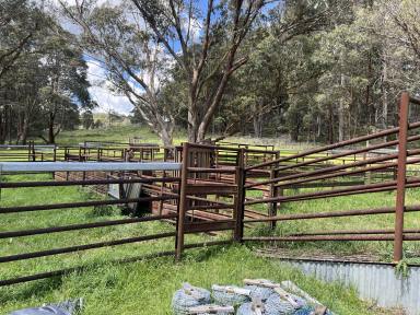 Farm For Sale - NSW - Dundee - 2370 - Great Grazing Property.  (Image 2)