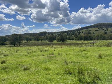 Farm For Sale - NSW - Dundee - 2370 - Great Grazing Property.  (Image 2)