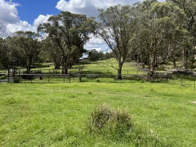 Farm For Sale - NSW - Dundee - 2370 - Destocked, plenty of pasture & water.  (Image 2)