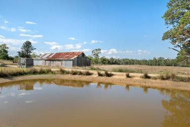 Farm For Sale - NSW - Braidwood - 2622 - 80 Acres With River Frontage, 2 Separate Houses + 1BR Cabin, Mostly Cleared, Dual Road Access, Perfect Grazing Land, Amazing Views, Ideal Lifestyle!  (Image 2)
