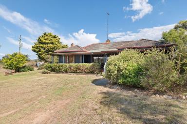 Farm For Sale - NSW - Braidwood - 2622 - 80 Acres With River Frontage, 2 Separate Houses + 1BR Cabin, Mostly Cleared, Dual Road Access, Perfect Grazing Land, Amazing Views, Ideal Lifestyle!  (Image 2)