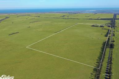Farm For Sale - VIC - Woodside - 3874 - OFF GRID LIVING WITH 100 ACRES  (Image 2)