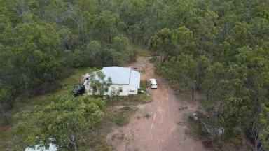 Farm For Sale - QLD - Good Night - 4671 - 32 Acre block with old house and shed.  (Image 2)