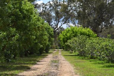 Farm For Sale - NSW - Curra Creek - 2820 - Stylish, Relaxed, Off Grid Rural Lifestyle  (Image 2)