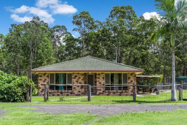 Farm For Sale - NSW - New Italy - 2472 - Discover Serenity: Your Ideal Bush Retreat Awaits!  (Image 2)