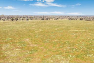 Farm For Sale - VIC - Goornong - 3557 - Exclusive Rural Land Release - Outskirts of Bendigo  (Image 2)