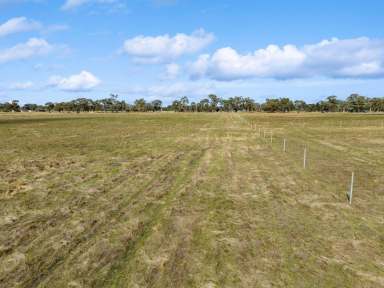 Farm For Sale - VIC - Goornong - 3557 - Exclusive Rural Land Release - Outskirts of Bendigo  (Image 2)