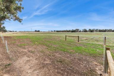 Farm For Sale - VIC - Goornong - 3557 - Exclusive Rural Land Release - Outskirts of Bendigo  (Image 2)