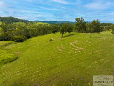 Farm For Sale - NSW - Kyogle - 2474 - Panoramic Heaven  (Image 2)