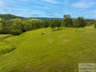 Farm Sold - NSW - Kyogle - 2474 - Deposit Taken  (Image 2)