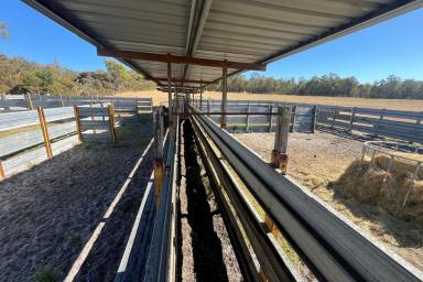 Farm For Sale - WA - Hay - 6333 - Don't Overlook This One!  (Image 2)