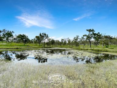 Farm For Sale - QLD - Dimbulah - 4872 - OFF-GRID WEEKENDER WITH GRAZING POTENTIAL  (Image 2)