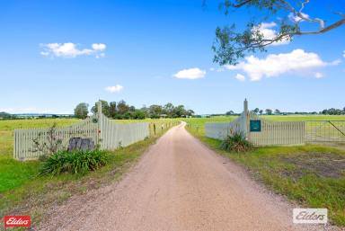 Farm For Sale - VIC - Swan Reach - 3903 - Swan Reach - Lifestyle Or Investment Plus 28 Acres  (Image 2)