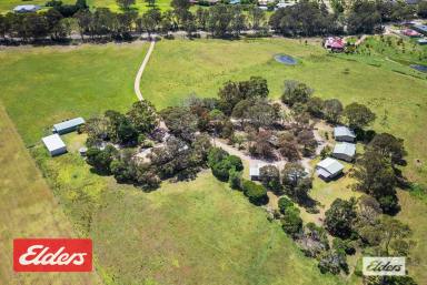 Farm For Sale - VIC - Swan Reach - 3903 - Swan Reach - Lifestyle Or Investment Plus 28 Acres  (Image 2)