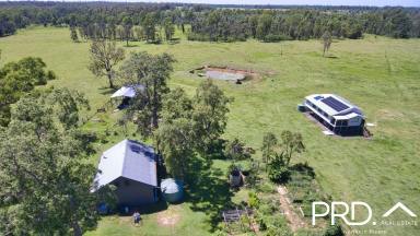 Farm For Sale - NSW - Rappville - 2469 - Looking for a Rural Lifestyle property or great breeder block?  Look no further!  (Image 2)