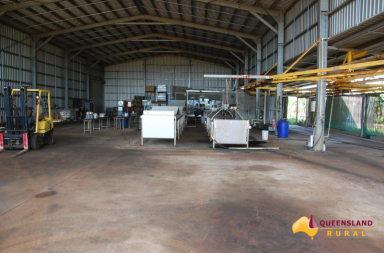 Farm For Sale - QLD - Utchee Creek - 4871 - Banana Growers - Processing & Packing Facility  (Image 2)